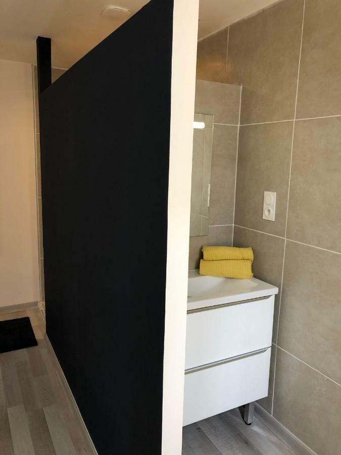 Fraichement Renove, Spacieux, Quartier Calme, Le Cocon De Lena Carcassonne Exterior foto